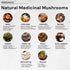 ACEWORKZ 10 Mushroom Complex Supplement - Lion’s Mane, Reishi, Cordyceps & More for Brain Health, Memory & Focus (90