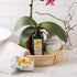 Italian Soap Bar (200 g) - No. 2 - Green Tea & White Musk