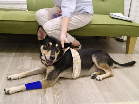 9 Rolls Self Adhesive Wrap Athletic Tape - Breathable Elastic Cohesive Bandage for Sports Injury & Pet (Dark Blue)