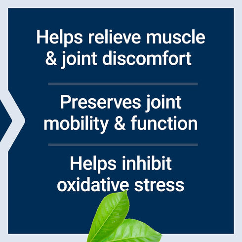 Life Extension MSM 1000 mg - Methylsulfonylmethane for Healthy Joints & Muscle Relief, Antioxidant Support, 100 Capsules