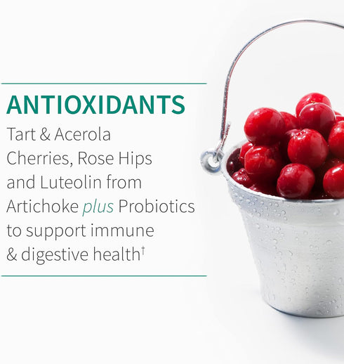 Garden of Life Quercetin Once Daily - 30 Tablets, Immune System Support with Vitamin C, D & Probiotics