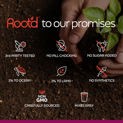Root'd Multivitamin Powder for Women - 25 Vitamins & Minerals with 3X Electrolytes, 9 Organic Superfoods, Probiotics &
