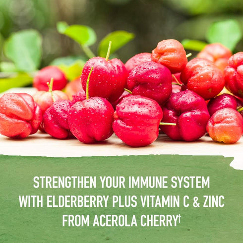 Garden of Life Organics Elderberry Zinc Immune Support Syrup for Adults and Kids 12+, 5 Fl oz with Vitamin C and