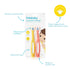 Frida Baby Triple-Angle Toothhugger Training Toddler Toothbrush | Cleans All Sides at Once | 2 Pack (Yellow + Pink).