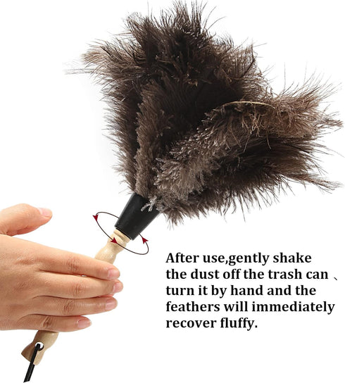 Ostrich Feather Duster 14 inch, Fluffy Natural Genuine Ostrich Feathers with Wooden Handle for Cleaning