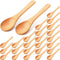36 Pieces Small Wooden Makeup Spatulas, Wooden Cosmetic Spoons, Mini Nature Beauty Scoop for Women Girls