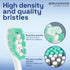 Brushmo Replacement Toothbrush Heads 10 pc Variety Pack Compatible with Philips Sonicare Electric Toothbrush