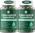 Sugar Free Chlorophyll Gummies with ACV, Sea Moss & Elderberry, Immune & Digestion Support, 2 Pack