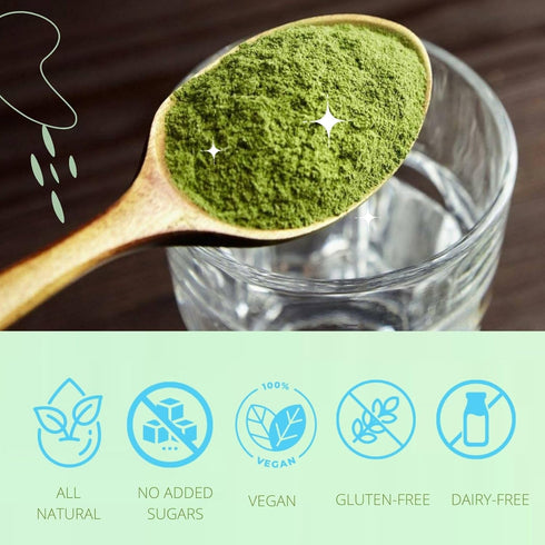 Consult Health Gut-Duction Bloat Control, Gut Health Support Superfood Formula, Plant Based Proteins, 28 Servings