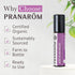 Pranarom Just Plain Relief Essential Oils, Organic Aromatherapy Blend with Lavender, Peppermint & Helichrysum, 8mL