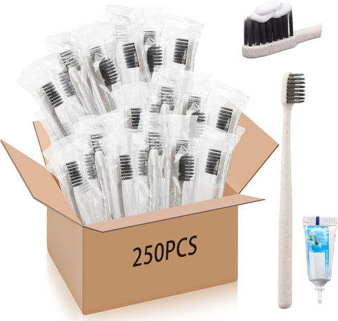 Uiifan 250 Sets Disposable Toothbrushes Bulk with Individually Wrapped Toothpaste, Travel Toothbrush Set for Home, Hotel