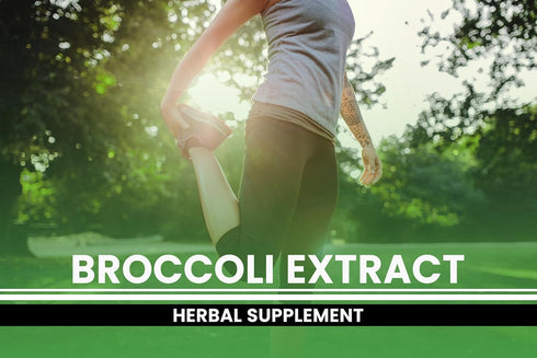 PURE ORIGINAL INGREDIENTS (365 Broccoli Extract Powder Capsules Capsules) Pure, No Artificial Color, No Fillers