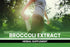 PURE ORIGINAL INGREDIENTS (365 Broccoli Extract Powder Capsules Capsules) Pure, No Artificial Color, No Fillers