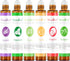 Essential Oil Roll On Set with Lavender, Peppermint, Eucalyptus & Grapefruit, Tea