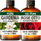 Gardenia Essential Oil for Diffuse & Rose Otto Essential Oil for Diffuser