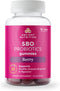 Ancient Nutrition Probiotics, SBO Probiotics Berry Gummies, 10 Billion CFUs, Healthy Digestive and Immune Support