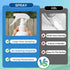 Multipurpose Wall Cleaner Spray Mold Stain Cleaner for Home Surfaces Bathrooms, Kitchens, Showers, Basements & Outdoor