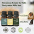 Summer Set, & Woodland Fragrance Oils AmaKane Fragrance Oil for Candle Making, Aromatherapy Essential Oils for Diffuser