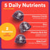 Immunity Gummies: Immune B6 B12 60 Count (30 SmartyPants Kids Elderberry Kids Support Supplement, Vitamin C, Vitamin D