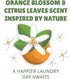 Botanical Origin Plant-based Laundry Detergent, Orange Blossom and Citrus Leaves, 54 oz (72 loads)