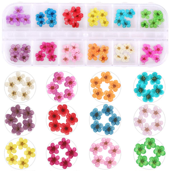 KISSBUTY 12 Colors Dried Flowers for Nail Art, Mini Real Natural 3D Applique Nail Decoration Sticker