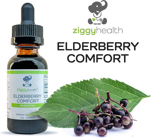 Organic Elderberry Tincture - Liquid Elderberry Drops for Immune Support, Respiratory Defense, 1oz - Ziggy Health