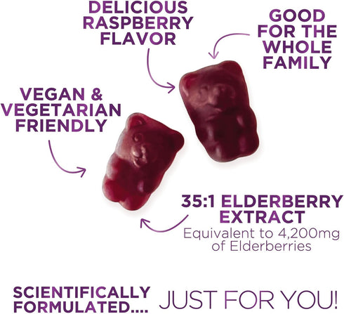 Sambucus Elderberry Immune Gummies - Daily Support for Kids & Adults - 60 Gummies, 35:1 Extract Equivalent to 4200mg