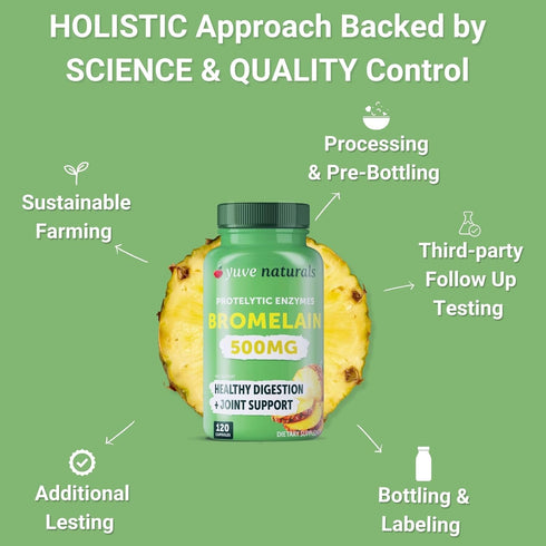 Yuve Bromelain 500mg - High Potency 2400GDU Supplement for Gut & Joint Health, 120 Vegan Capsules