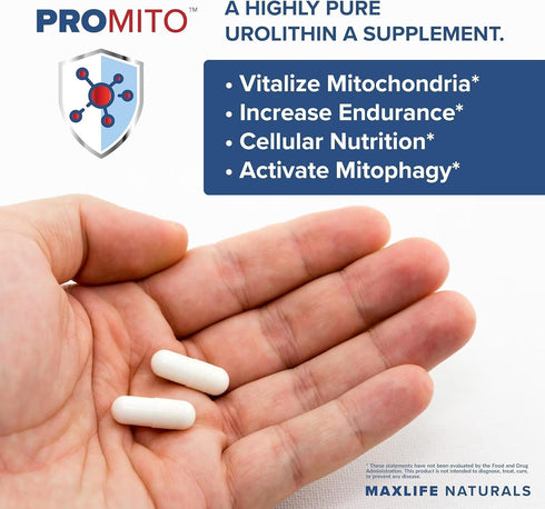 ProMito Urolithin A Supplement - 500mg Pure Dietary Supplement for Men & Women, Alternative to NMN, 28 Capsules