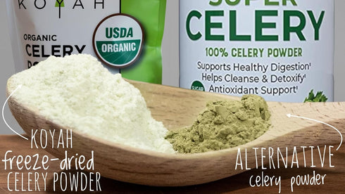 KOYAH Organic USA Grown Celery Powder, 36 Servings, Freeze-dried Whole-Stalk Powder