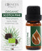 Essences Bulgaria Organic Scotch Pine Essential Oil 1/3 Fl Oz | 10ml | 100% Pure and Natural, Therapeutic Grade