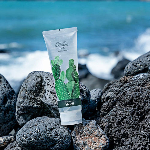 YADAH Cactus Soothing Gel (8.45 fl oz), Sunburn Relief, Calm & Soothe Irritated Skin, 95% Cactus Extract
