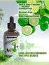 Bergamot Essential Oil Room Spray Pure Citrus Oils Aromatherapy for Natural Diffuser & Soap Making Fall Scents 4 Fl Oz