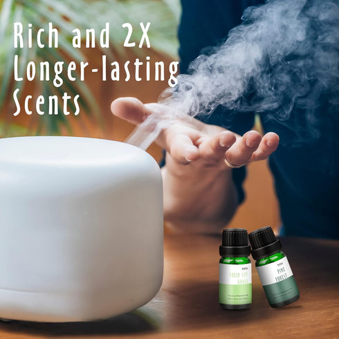 Set, MitFlor Winter & Nature Fragrance Oils Creative Christmas Gift, Fragrance Oils for Diffuser, Candle & Soap Making