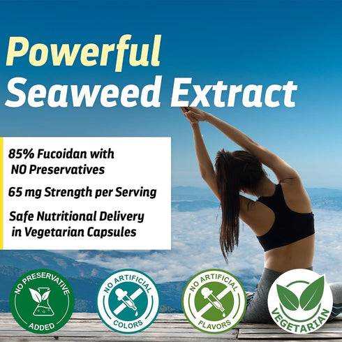Fucoidan Supplement 65mg - 60 Capsules, Brown Seaweed Extract for Gut Health, Cardiovascular Health, Immune Support