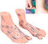 Human Foot Acupuncture Model for Reflexology Teaching