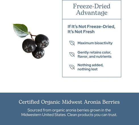 Eclectic Institute Organic Aronia Berry Capsules | 90 CT (450 mg) | Supports Heart, Immune, Digestive Health