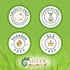 Frankincense Essential Oil 118 ML (4 Fl. Oz) - 100% Pure Natural Undiluted Boswellia Carteri