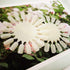 Honbay 20PCS Plastic 18 Tips False Nail Swatches Wheels for Nail Art Color Polish Display