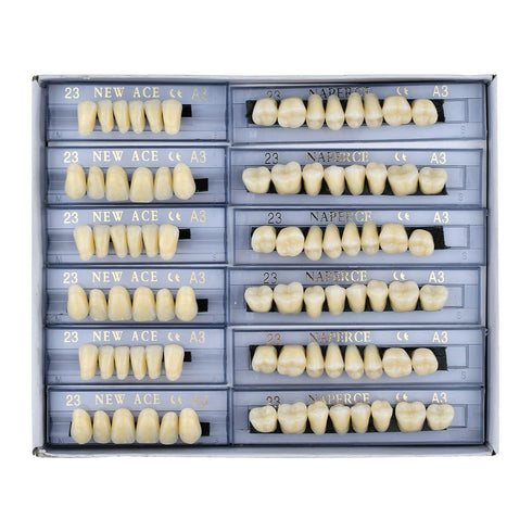 168 Pcs Dental Synthetic Resin Tooth Denture, 3 Sets False Teeth for Halloween Horror