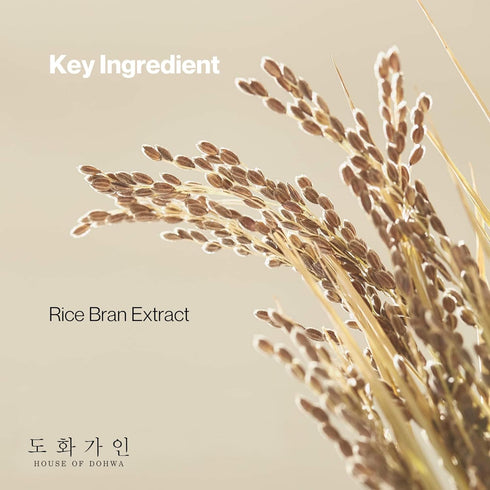 Rice Korean Face Mask, Wash Off Skin Care, Hydrating & Soothing, 3.38 fl. Oz, Domestically Harvested Ingredients