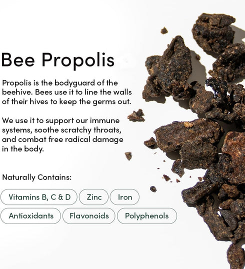 Propolis Throat Spray by Beekeeper's Naturals, Natural Immune Support & Sore Throat Relief, 1.06 oz