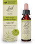 Bach Original Flower Remedies, Olive for Energy, Natural Homeopathic Flower Essence, Vegan, 10mL Dropper