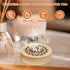 Yimomoyi 2 Pcs Essential Oil Diffuser Stone, Diffuser for Essential Oils Great for Decorating at Home, Office or Car
