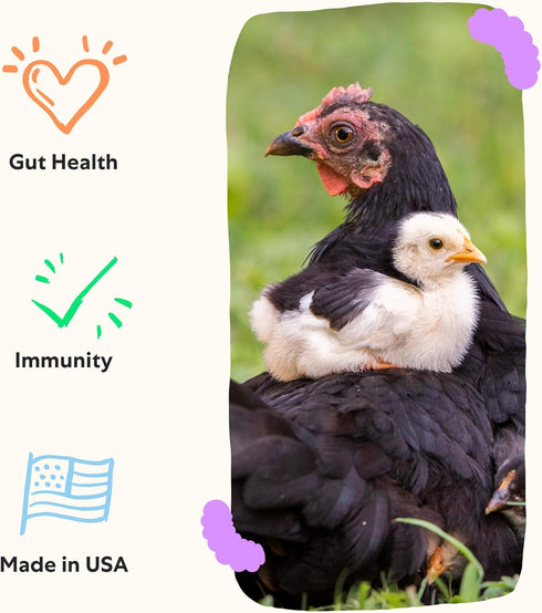 Grubbly Farms Prebiotics + Probiotics for Chickens, 30 Day Supply
