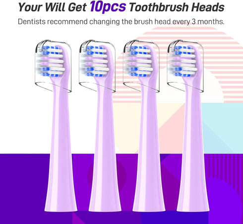 Replacement Toothbrush Heads, 10 Count Compatible with Colgate Hum Connected Smart Battery Electric Toothbrush, Purple