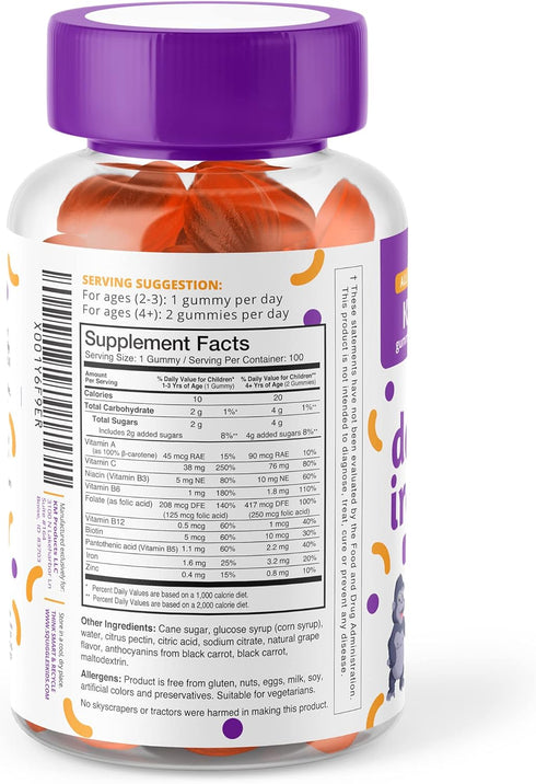 Squiggles Kids Daily Iron+ Gummies, Vegan Chewy Vitamin with Iron, Low Sugar, Grape Flavor, 100 Gummies
