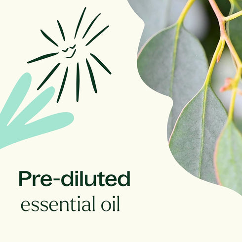Plant Therapy Eucalyptus Pre-Diluted Roll-On 10mL (1/3 oz) for Skin and Clear Breathing, 100% Pure