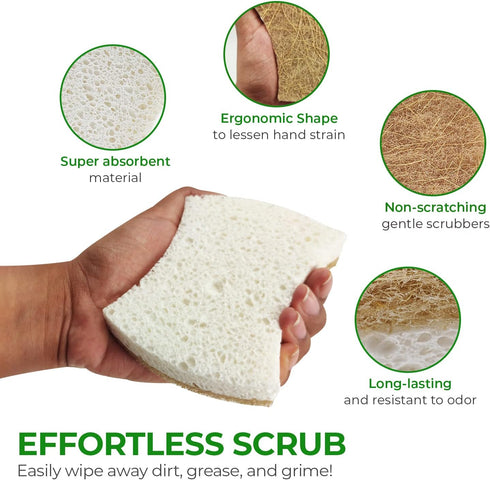 Biodegradable Natural Kitchen Sponge - Pack of 12 Compostable Cellulose and Coconut Walnut Scrubber Sponges