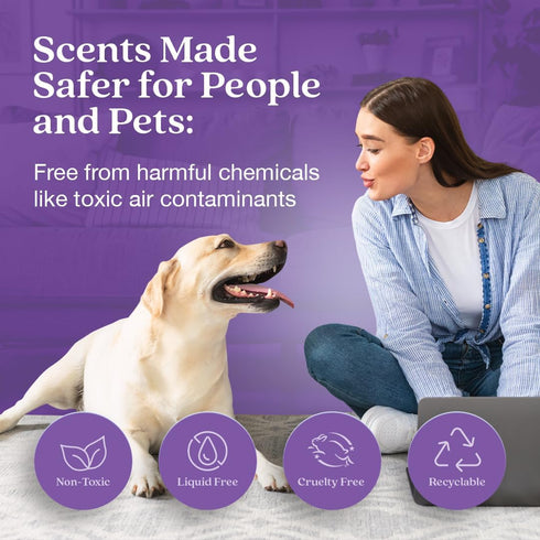 Enviroscent Non Toxic Air Freshener, Lavender Tea & Honey, Plug-in Air Freshener for Home, Lasts 45+ Days